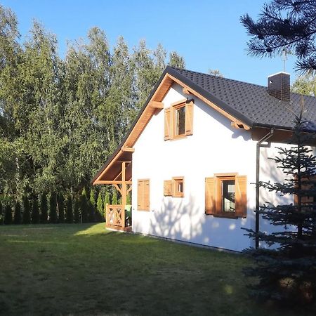 Domek Caloroczny Nad Jeziorem Budzislawskim, Wielkopolska Na Wynajem Anastazewo Εξωτερικό φωτογραφία