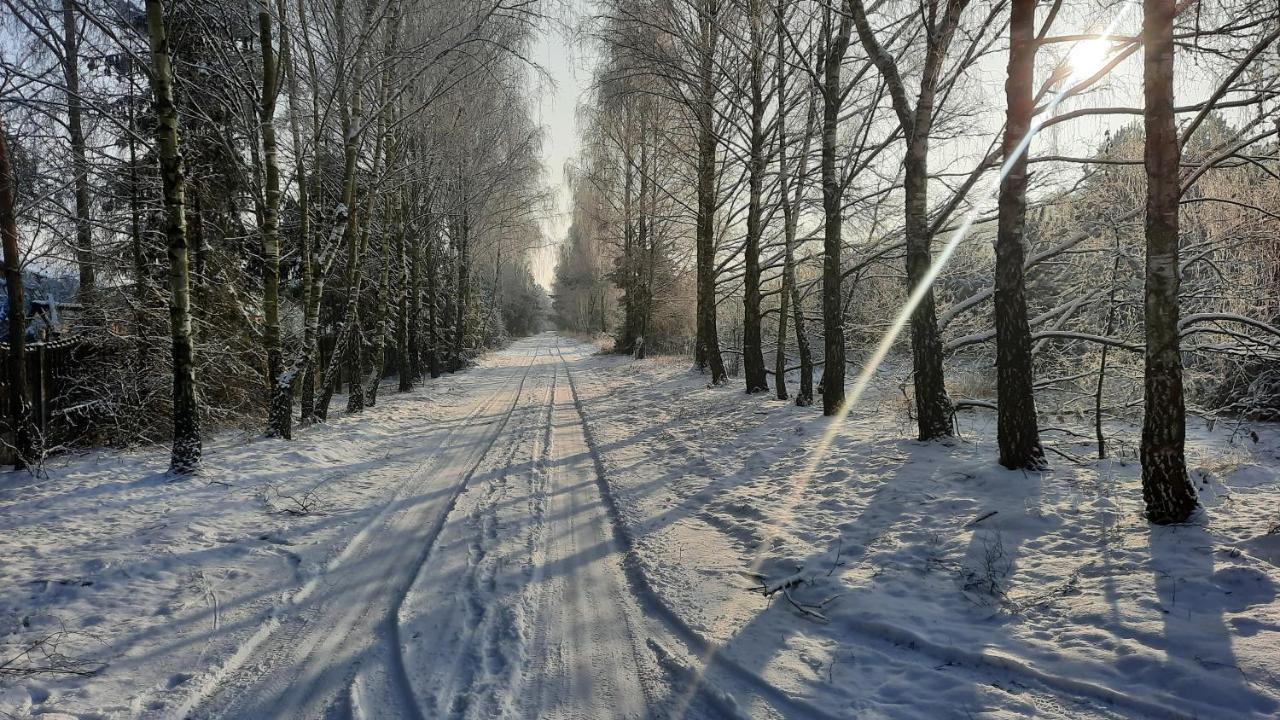 Domek Caloroczny Nad Jeziorem Budzislawskim, Wielkopolska Na Wynajem Anastazewo Εξωτερικό φωτογραφία